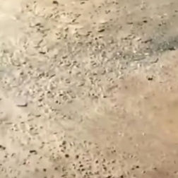 SÃO FRANCISCO DO CONDE: MORADORES DO DISTRITO DA JABEQUARA DA AREIA RELATAM ABANDONO DA PREFEITURA