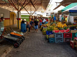 Enquete traz que 86% das pessoas discordam em levar a Central de Abastecimento para a Fazenda Mamão