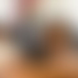 Sob a presidência de Rosana de Bobó, Câmara de Candeias encerra o ano com avanços em mordenização e transparência