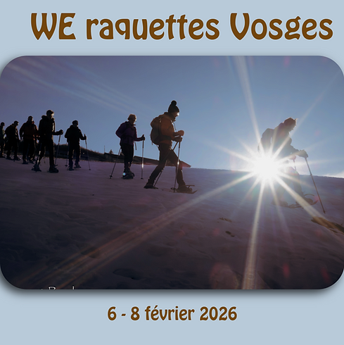 20260206 WE raquettes.png