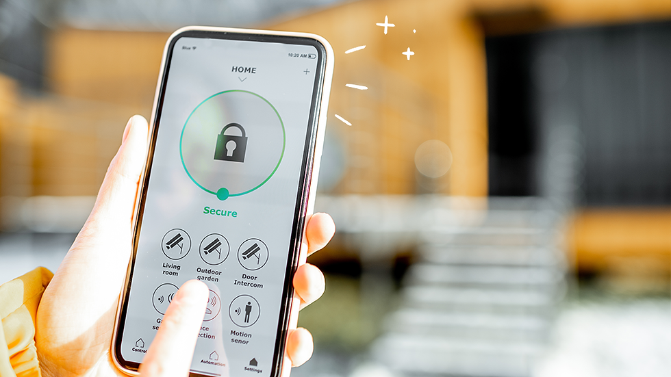 BSS Security Device