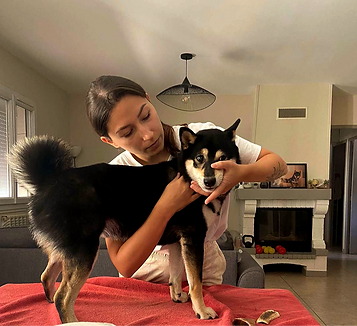 ostéopathie animale sur chien