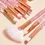 Thumbnail: 10pc Brush Set
