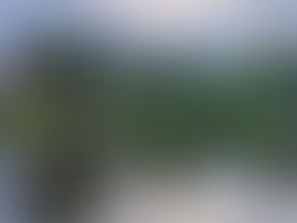 Bile smo na Državnom LiDraNu u Vinkovcima