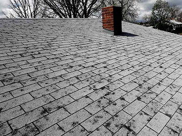 Roof-Hail-Damage.jpeg