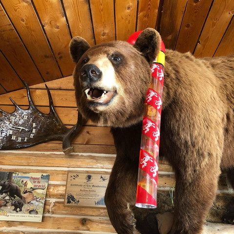 Mr Bear.jpeg