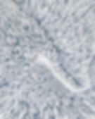 Groomed Winter Trail