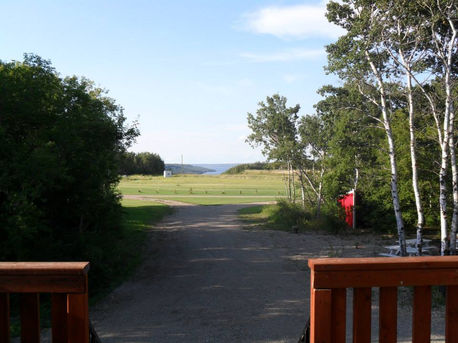View from your room at Barn in the Bush