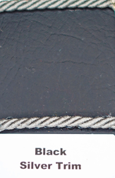 Black and Silver Trim