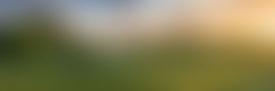 6 Best Golf Courses Around Denver for Golf Lovers and Homeowners