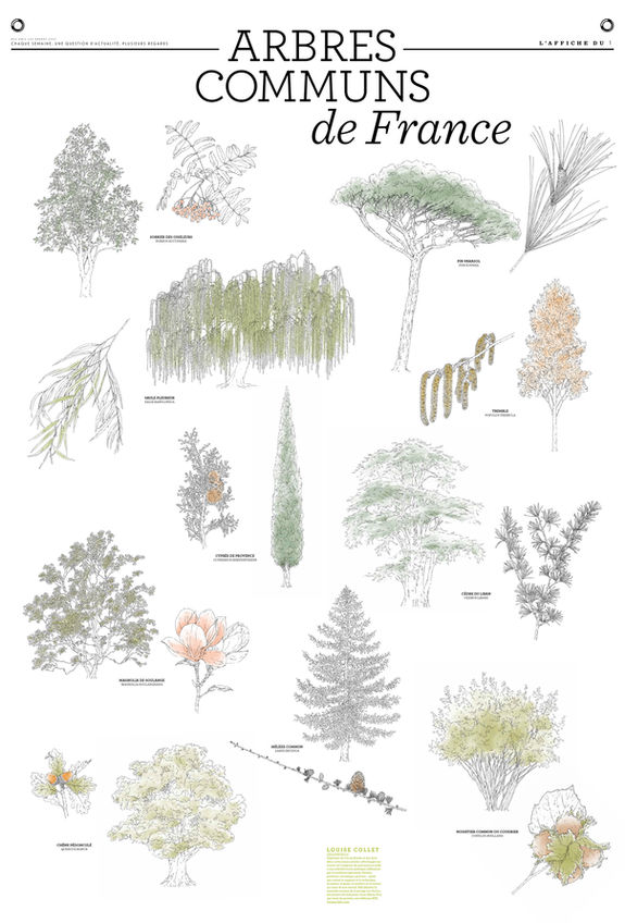 Poster de MAQARBRESLE1_complet.jpg