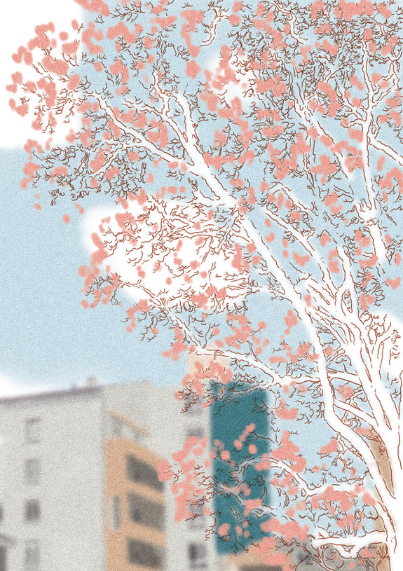 Mimos_La visitationRVB.jpg