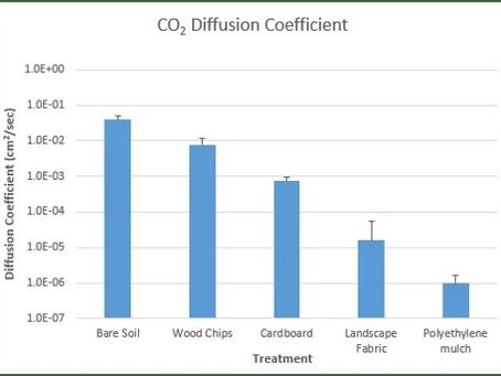 Is Using Cardboard as Mulch Under Trees an Effective Practice?