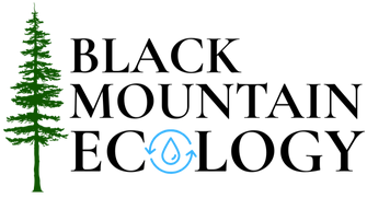 Black Mountain Ecology_edited.png