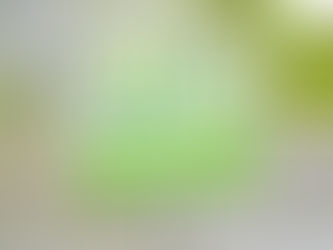 10 วิธีกำจัดตะไคร่น้ำ ตัวการทำพื้นบ้านลื่น