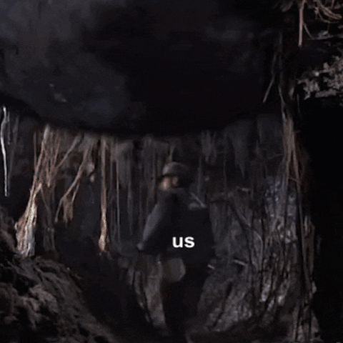 giphy4.gif
