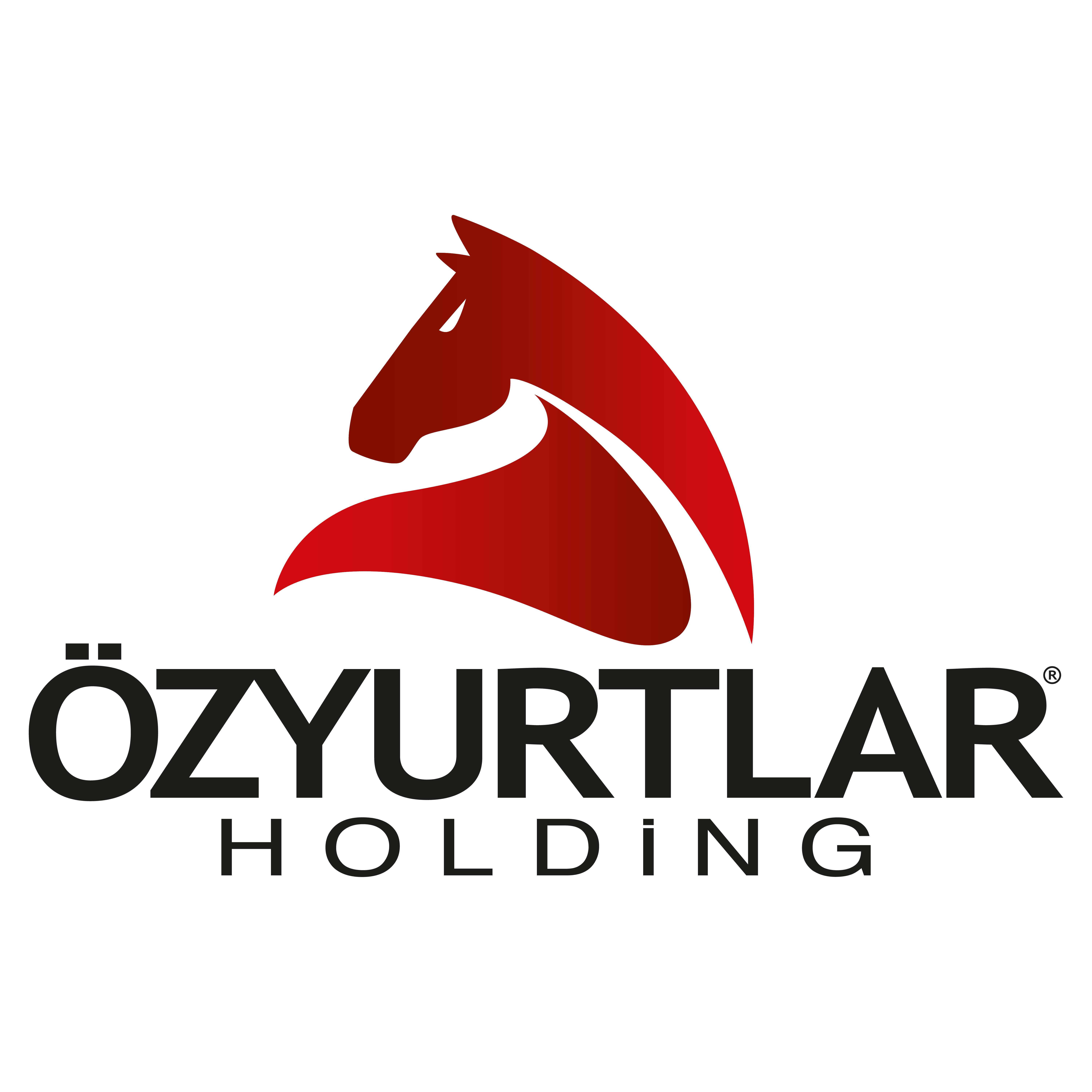 Özyurtlar Holding resmî logosu