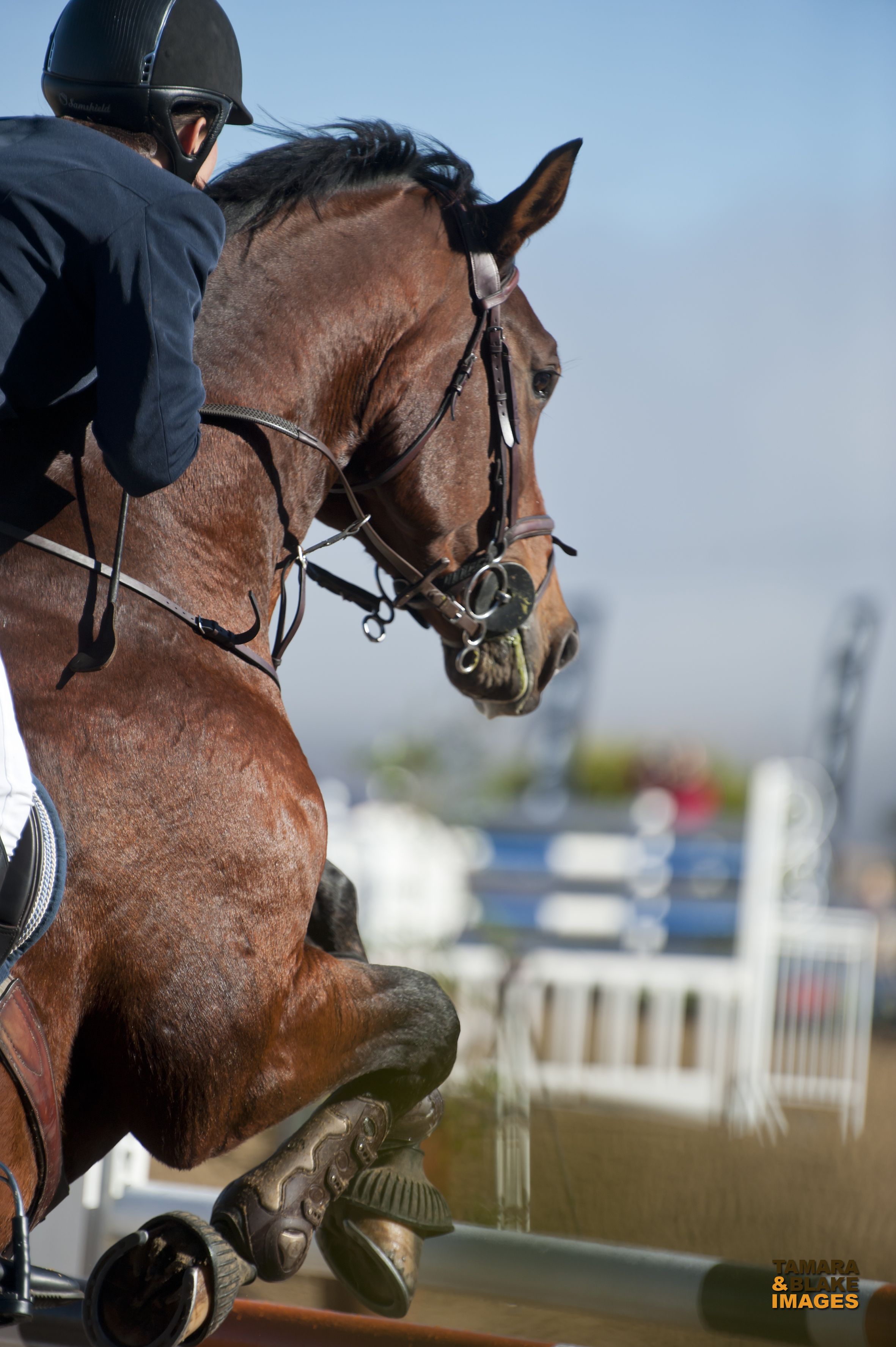 s28001502L1dm-20130421_084948_201-1532