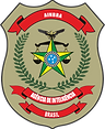 AINBRA logo tamanho medio.png