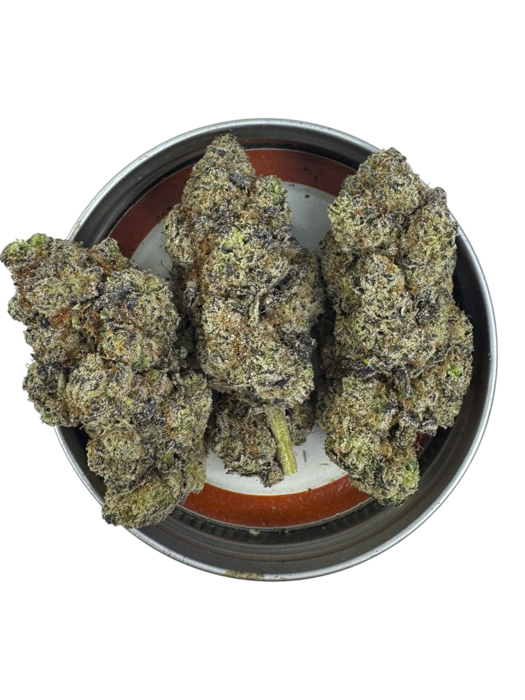 Lizard Burger - Optional Cannabis Gift (SKEEYAT STICKER)