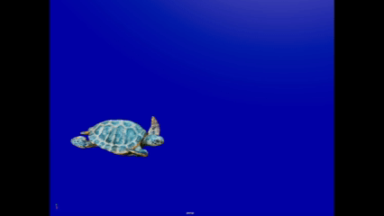 seaTurtle