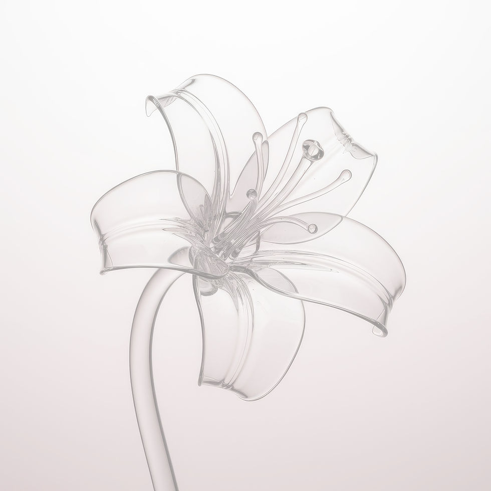 weavy-Topaz Image Upscale-2025-11-27 at