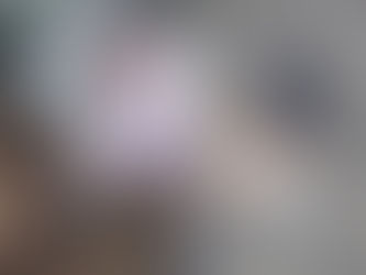 Danna: la perrita entrenada para buscar a personas desaparecidas.