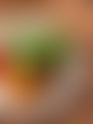 Italienische Bowl mit gebratenem Pfirsich, Shrimps, Feuerbohnen, Rucola, Buffala Mozzarella, Paprika, Tomate, Zwiebel, Basilikum