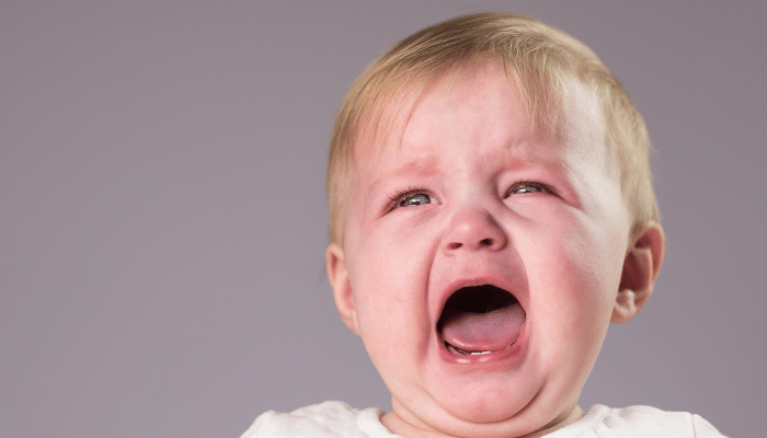 不誠実な香港保険の紹介者