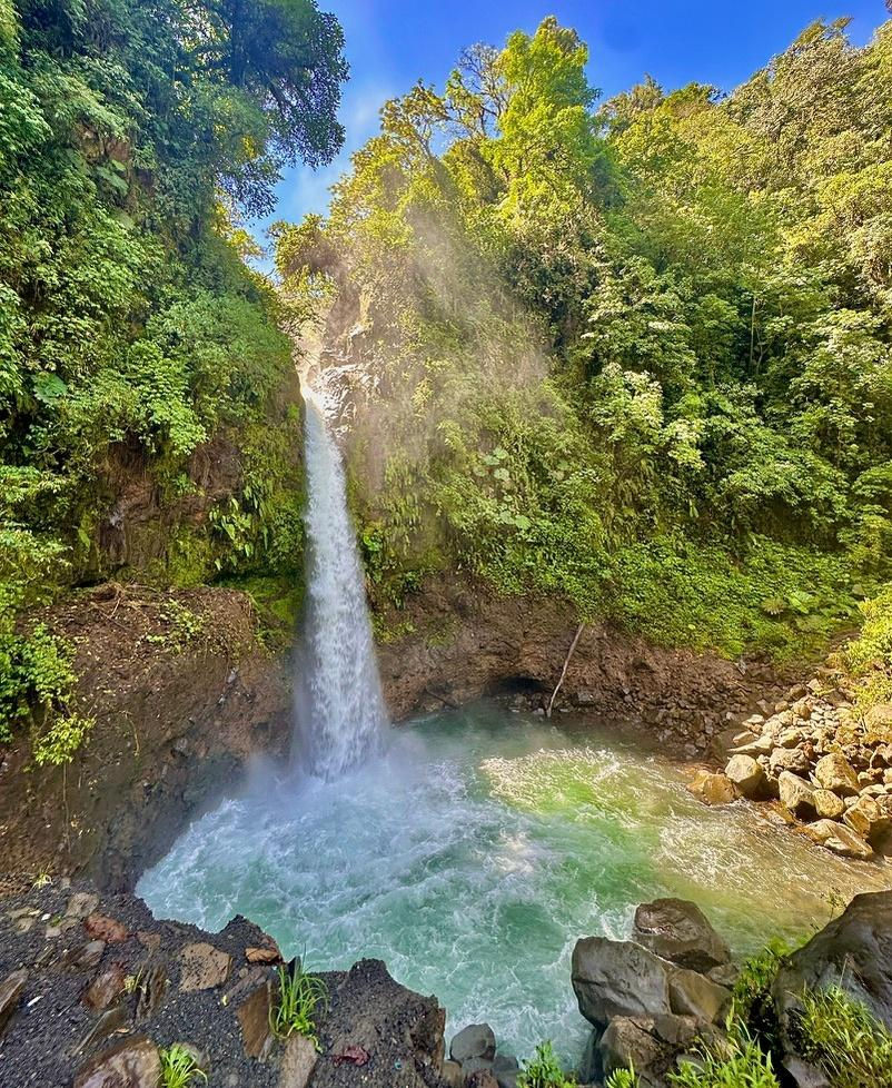 Tall waterfall plunges into a turquoise pool in a lush green forest, with sunlight streaming over mossy cliffs.