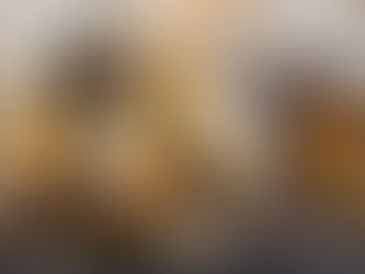 Cupim em MDF! Como recuperar e prevenir essa situação