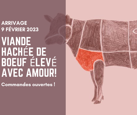 Vente spéciale viande hachée