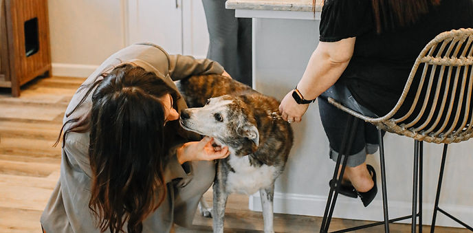 dog_edited.jpg