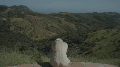 nowness gif2.gif