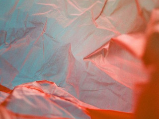 closeup_litter_7.jpeg