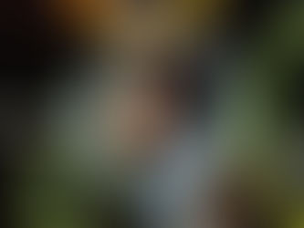 新たな表現