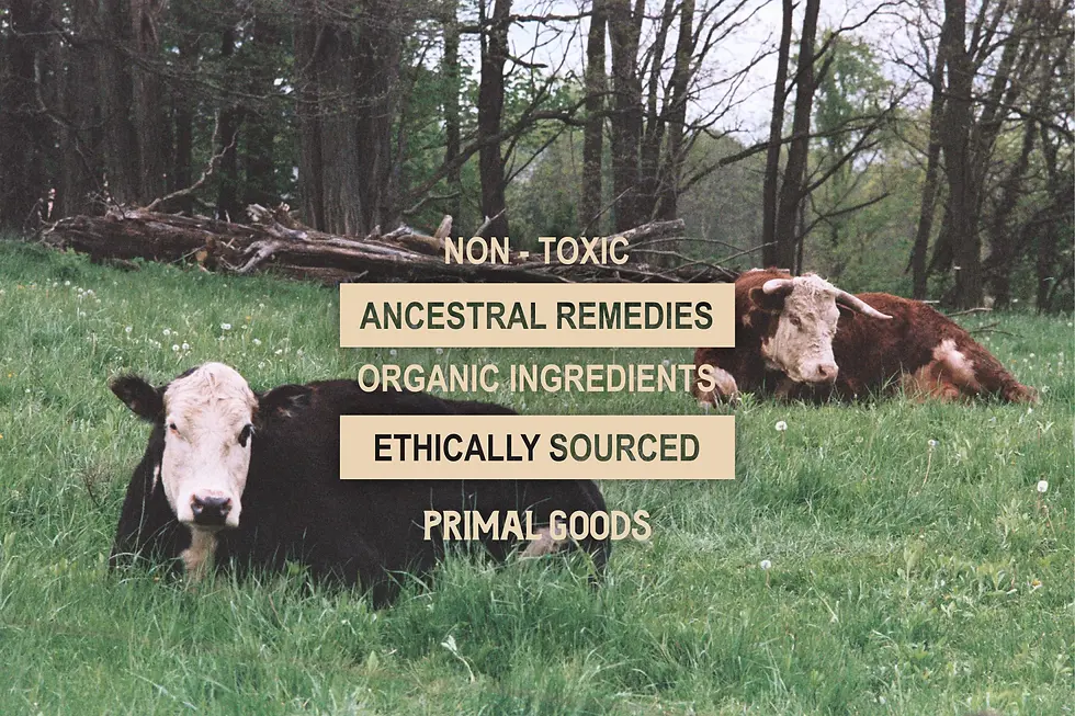 Astro Hippie Media Kit (1)_edited.jpg