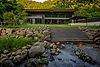 DSC01300-2.jpg