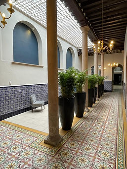 PHOTO-2026-03-12-17-06-46 2.jpg