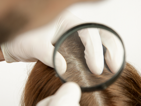 The Scalp: The Secret to Beautiful Hair
