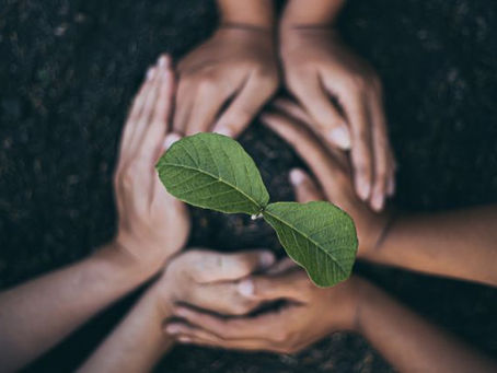 Are we seeds of God or seeds of the world?