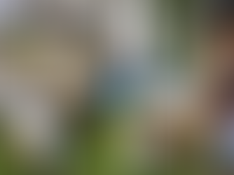 Diseño de un juego didáctico para fortalecer las competencias para emprendedores en distintas etapas y contextos.