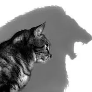 f9c3ae_ee6b0c80f9ab434e836019c89894a3d5_mv2 (1).webp
