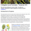 Thumbnail: Cannabis Terpenes 101 - 710 Peasants Publishing