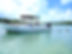 Image from benthookadventurebelize.com