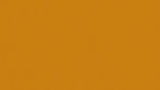 Yellow-Background_edited.jpg