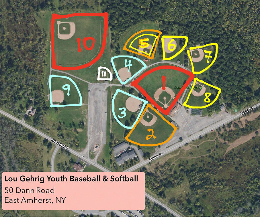 LG Baseball 2019.jpg