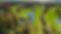 Screenshot 2023-01-04 at 15-19-23 (JPEG Image 1180 × 664 pixels).png