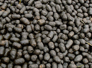 Alpaca-Poop-1.jpg
