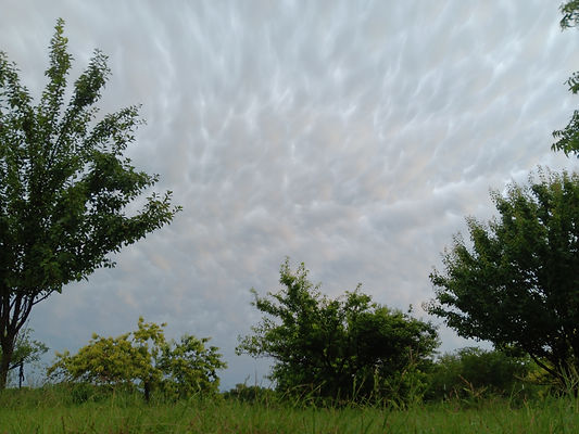 20240602_191520.jpg